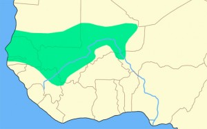 Empire du Mali Carte de l'empire du Mali à son apogée