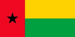 Le drapeau de la Guinée-Bissau Les couleurs du panafricanisme sont représentés, avec une signification spécifique à chaque éléments : * Rouge : le sang versé par les combattants de la liberté dans les jungles de Guinée. Des centaines de soldats sont mort pour la liberté et l'indépendance de la Guinée et du Cap-Vert. * Vert : la vie future, la végétation et l'espérance dans la lutte. * Jaune : l'or... Cabral a toujours souligné que, l'unité entre nous et l'unité avec l'Afrique est aussi précieuse que l'or. * Les cinq branches de l'étoile : les cinq sens de l'homme: la vue, l'ouïe, le goût, l'odorat et le toucher.