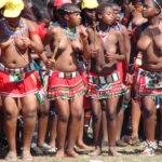 La danse du roseau L'umhlanga (=roseau) fait partie des coutumes du Swaziland. Dans le passé, on faisait cette danse pour honorer la reine mère. Les jeunes filles coupaient des roseaux et les lui donnaient pour rebâtir la résidence royale. Mais dernièrement, elle est une occasion pour le roi de se choisir une nouvelle femme parmi les jeunes filles.