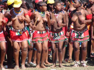 La danse du roseau L'umhlanga (=roseau) fait partie des coutumes du Swaziland. Dans le passé, on faisait cette danse pour honorer la reine mère. Les jeunes filles coupaient des roseaux et les lui donnaient pour rebâtir la résidence royale. Mais dernièrement, elle est une occasion pour le roi de se choisir une nouvelle femme parmi les jeunes filles.