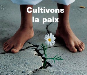 La Journée internationale de la paix La Journée internationale de la paix, observée chaque année le 21 septembre, est un appel international au cessez-le-feu et à la non-violence. La paix entre les nations est la mission fondatrice des Nations unies.