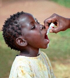 Vaccin Polio En 2008, la maladie n'était encore endémique que dans quatre pays (Nigeria, Inde, Pakistan et Afghanistan) qui concentraient la quasi-totalité des cas. Une flambée de cas au Tadjikistan au début de l'année 2010 rappelle cependant que le virus circule toujours.