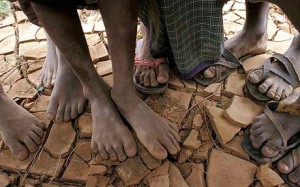 sécheresse en Afrique Dans la majeure partie de la Somalie, les pluies n'ont atteint que 0 à 15% du niveau habituel de pluviométrie