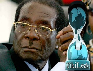 Robert Mugabe Wikileaks Quand Robert Mugabe arrive au pouvoir le 31 décembre 1987, 70% des terres arables appartenaient à 4000 fermiers blancs. Le 6 avril 2000, il impose sa réforme agraire malgré la défaveur du peuple. La plupart des fermiers blancs sont expropriés et une dizaine sont assassinés. Depuis lors, la plupart fuient à l'étranger.