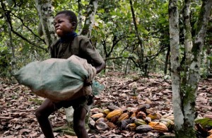 chocolat-enfants Le travail et l’esclavage des enfants sont monnaie courante dans les plantations de cacao, un scandale dont les fabricants de chocolat ont connaissance depuis de nombreuses années.