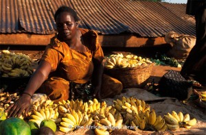 banane En termes de valeur de production, les bananes et les bananes plantain se situent au quatrième rang des plantes alimentaires d’importance au niveau mondial. Les bananes exportées sont placées au quatrième rang des produits de base au niveau mondial et au troisième rang en tant que fruit (derrière l’orange et le raisin).
