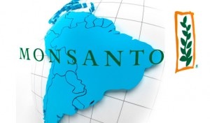Monsanto amerique latine Monsanto produit des semences génétiquement modifiées qui sont résistantes aux herbicides, permettant aux agriculteurs de pulvériser massivement des champs entiers de soja ou de maïs en tuant seulement les mauvaises herbes